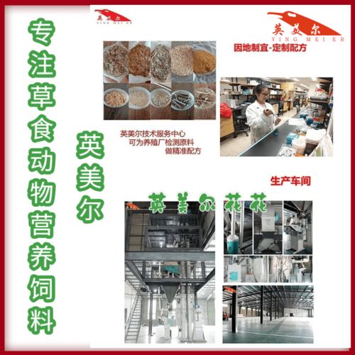 育肥牛飼料品牌與技術推廣的協同之道